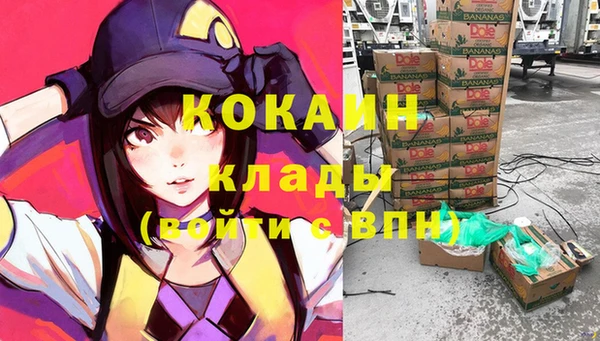 кокс Баксан